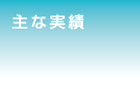 主な実績
